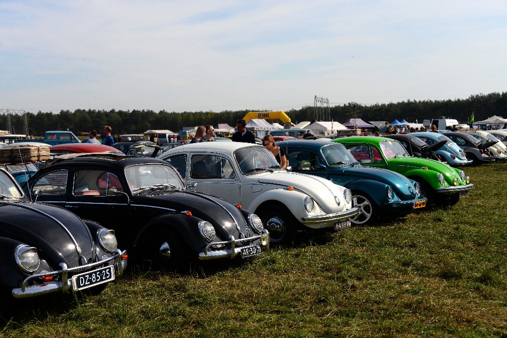 ../Images/Beautiful Budel 2019 372.jpg